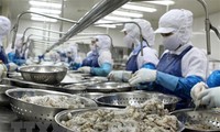 В первом квартале экспорт продуктов сельского, лесного и рыбного хозяйств Вьетнама вырос почти на 49%