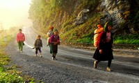 La meilleure saison pour visiter le bourg de Dông Van