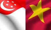 10ème consultation politique Vietnam-Singapour 