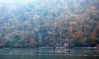 Ba Be-le plus grand lac naturel du Vietnam 