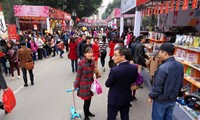 Hanoi : Rue des livres à l’occasion du Nouvel an lunaire