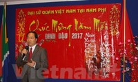 Intensifier la coopération Vietnam-Afrique du Sud