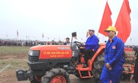 Le président descend au champ à Doi Son