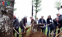 Fête de plantation d’arbres dans tout le pays