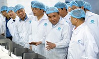 Nguyễn Xuân Phúc visite la société crevetticole Minh Phu