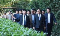 Nguyên Xuân Phuc offre des batonnets d’encens à la mémoire du président Ho Chi Minh