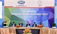 APEC 2017 : le groupe d’experts sur l’assurance pour les catastrophes se réunit