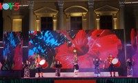 Fête des cerisiers japonais à Hai Phong