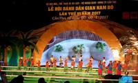 Le festival des gâteaux traditionnels du Sud à Can Tho