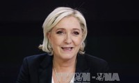 Bruxelles va lancer la procédure de levée d'immunité de Le Pen