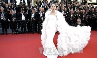 Des images du Vietnam présentées à Cannes  