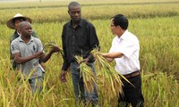 Renforcer la coopération entre le Vietnam et les pays africains