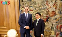 Pham Binh Minh reçu par le roi Felipe VI d'Espagne