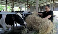 Ho Chi Minh-ville intensifie la coopération agricole avec l’Australie