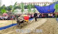 Tuyen Quang: fête de descente au champ