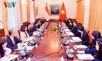 Vietnam-Singapour : 11e consultations politiques