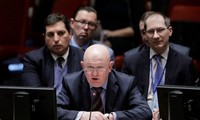 Affaire Skripal: Russes et Britanniques dos à dos à l'ONU