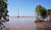 Des centrales photovoltaïques et éoliennes dans les zones aquacoles