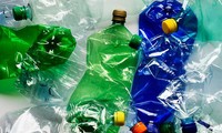 Les organismes internationaux luttent contre la pollution plastique