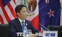 RCEP: Activités du ministre de l’industrie et du commerce Trân Tuân Anh