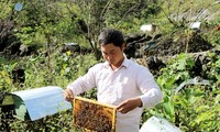 Hà Giang mise sur le maraîchage bio et l’apiculture