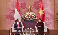 Entrevue Nguyên Thi Kim Ngân-Joko Widodo