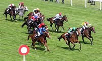 Feu vert pour la construction d’un hippodrome à Soc Son