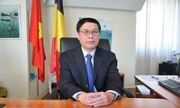 L’Assemblée nationale du Vietnam et le Parlement européen cruciaux pour les liens Vietnam-UE