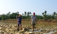 Công Luong : les travaux champêtres, une affaire d’hommes !...