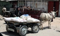 Le manque de fonds menace l'aide alimentaire pour les Palestiniens