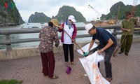 Activités en réponse à la Journée mondiale de l’environnement et à la Journée mondiale de l’océan