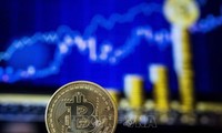 Le bitcoin continue sa progression et passe la barre des 13 000 dollars 