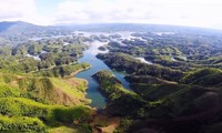 Le Vietnam participe à la Journée internationale de l’environnement