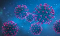 Coronavirus: le point sur la pandémie dans le monde