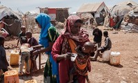 ONU: 8,3 millions de personnes ont besoin d'une aide humanitaire en Somalie