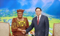 Pham Minh Chinh rencontre Ngozi Okonjo-Iweala