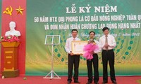 Sức sống Đại Phong