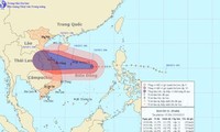 Bão số 11 (bão Nari) có khả năng mạnh thêm