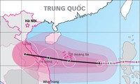 Bão đang tiến vào đất liền, lên phương án sơ tán dân 