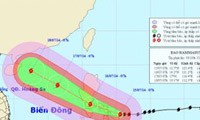 Phó TThủ tướng Hoàng Trung Hải chủ trì cuộc họp trực tuyến phòng, chống bão Rammasun 