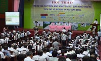  Tái cấu trúc nông nghiệp ĐBSCL, hướng đi bền vững