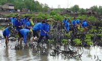 Tuyên dương các mô hình thanh niên xuất sắc trong bảo vệ môi trường