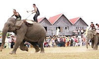 Du lịch Việt Nam chủ động hội nhập Cộng đồng ASEAN 