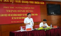 Tái cơ cấu nông nghiệp phải đi đôi với mô hình tăng trưởng hợp lý