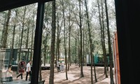 Triển lãm Art in the Forest – Summer 2019: Nghệ thuật thăng hoa với thiên nhiên