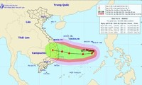 Bão số 6 giật cấp 14 diễn biến phức tạp