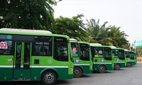 Triển khai xe bus mini tại thành phố Hồ Chí Minh là giải pháp khả thi