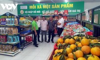 Kon Tum đột phá trong sản xuất và tiêu thụ sản phẩm OCOP