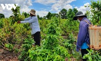 Huyện Bình Chánh, thành phố Hồ Chí Minh hoàn thành xây dựng nông thôn mới