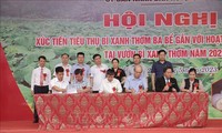 Xúc tiến tiêu thụ bí xanh thơm Ba Bể